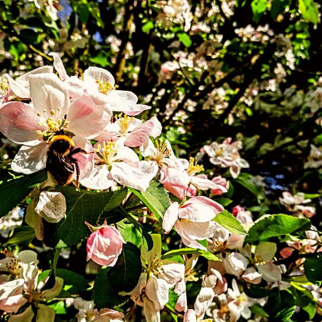 Close. Weather forecasts with beautiful photos by Wiesiek Photos in Gdansk
