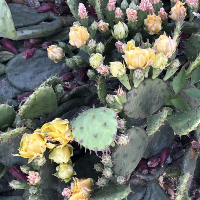 Previsões do tempo com lindas fotos de kriotis