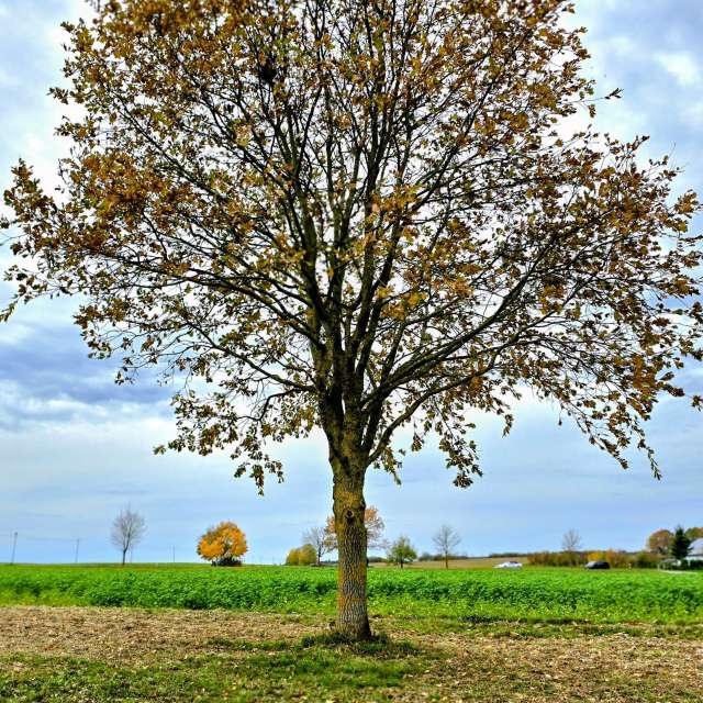 Jesen. Wettervorhersagen mit schönen Fotos von Hela Fotos Bayern