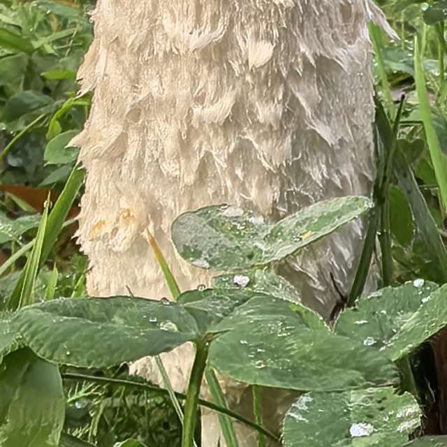 Previsões do tempo com lindas fotos de Igor-65