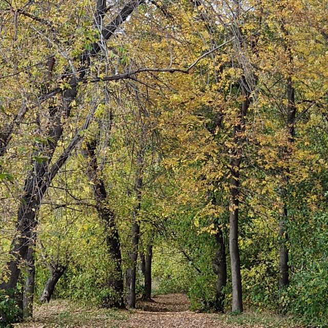 Fotos Pastando. Previsões do tempo com lindas fotos de andriei em Gorodckoy Pliazh V Parke "Samal"