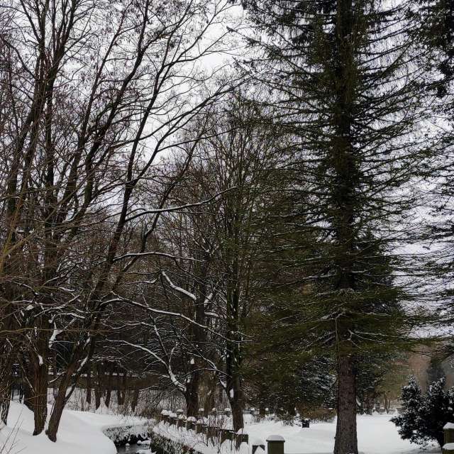 Wald. Wettervorhersagen mit schönen Fotos von Kripo Fotos Ladek Zdroj