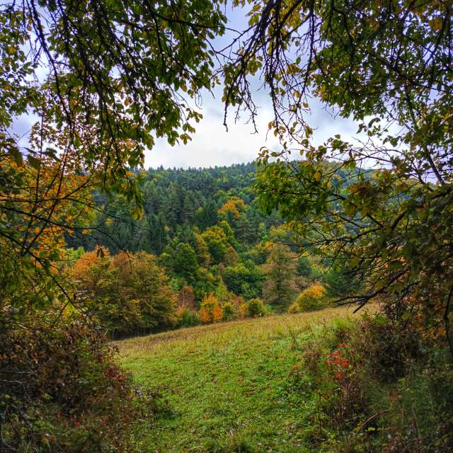 Weather forecasts with beautiful photos by _richardd