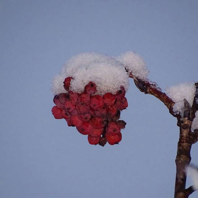 Smoke. Weather forecasts with beautiful photos by Михаил Гавриков Photos in Kharkiv