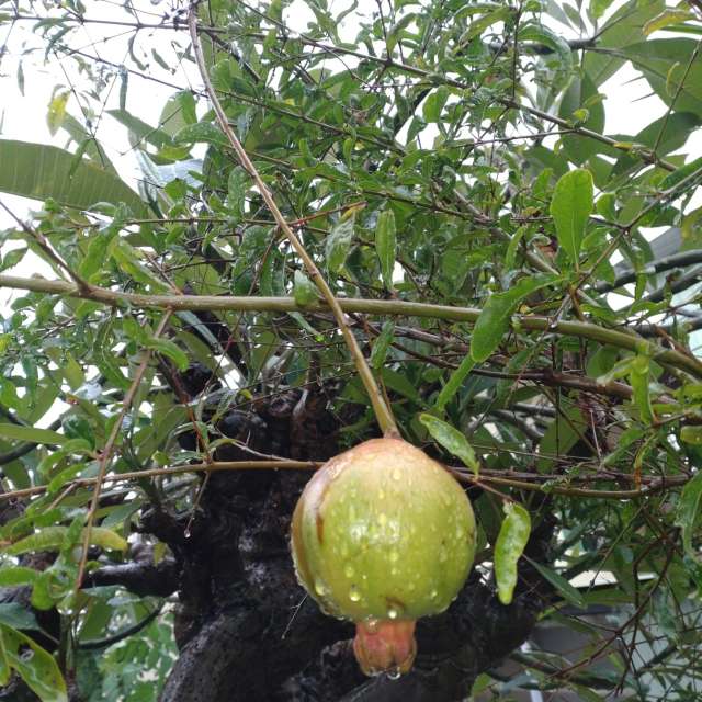 Fotos Filial. Previsões do tempo com lindas fotos de Wen-ya Huang em Kaohsiung City