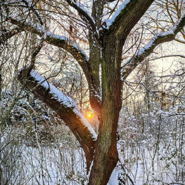 天气预报，带Gaucho精美的照片