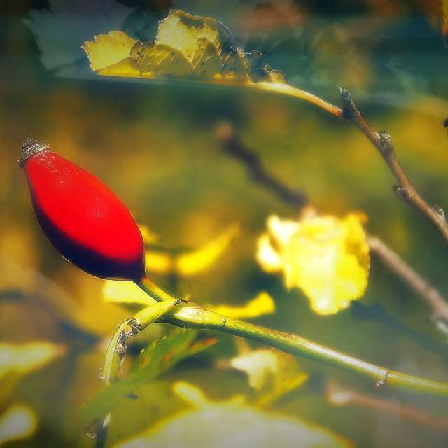 Прогнозы погоды с чудесными фотографиями, сделанными ConstantinR