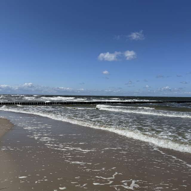 天气预报，带man-of-the-sea-and-land精美的照片