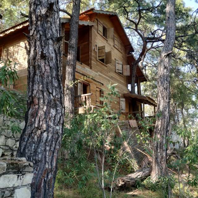 Weather forecasts with beautiful photos by Andrey60