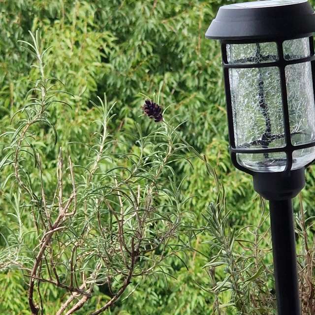 Wettervorhersagen mit schönen Fotos von wsantosphotos