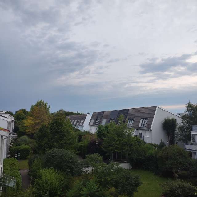 Sheep. Weather forecasts with beautiful photos by Tercis Photos in Ettlingen