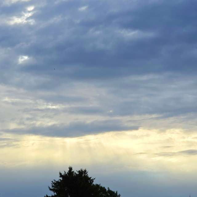 Weather forecasts with beautiful photos by Seni
