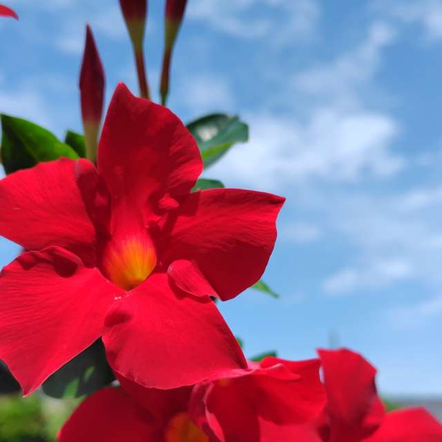 Weather Photos in World. Weather forecasts with beautiful photos by umemui