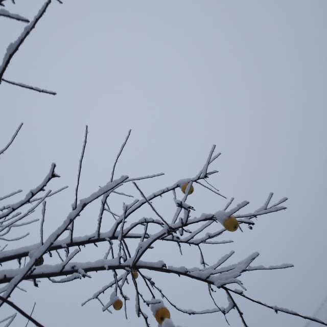 Weather Photos in World. Weather forecasts with beautiful photos by mikhai