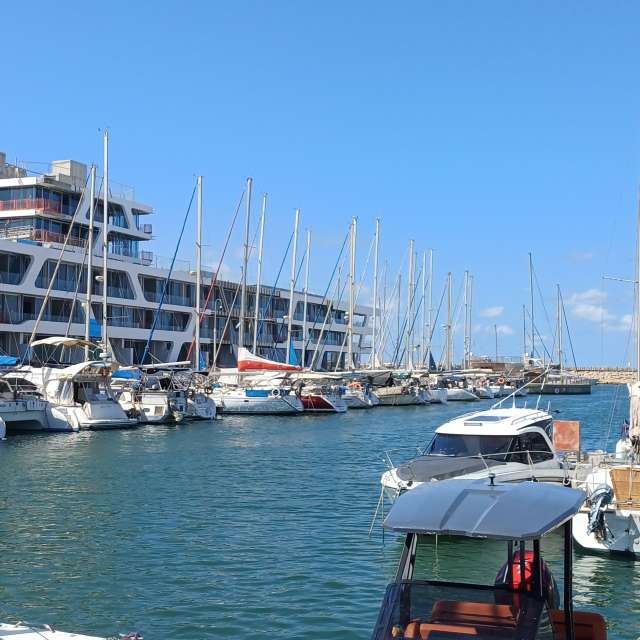 天气预报，带Zaza精美的照片