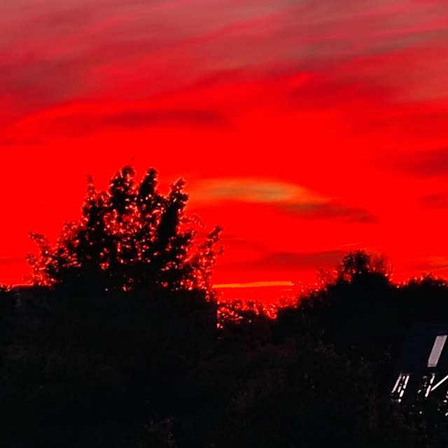 View. Weather forecasts with beautiful photos by Tercis Photos in Ettlingen