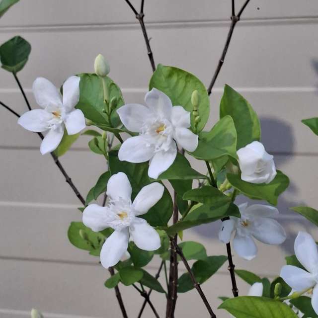 Fotos Vidro. Previsões do tempo com lindas fotos de Wen-ya Huang em Kaohsiung City