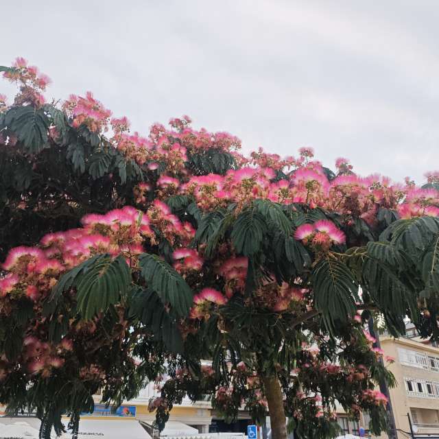 Photos météo à . Prévisions météo avec de superbes photos de Vicky76