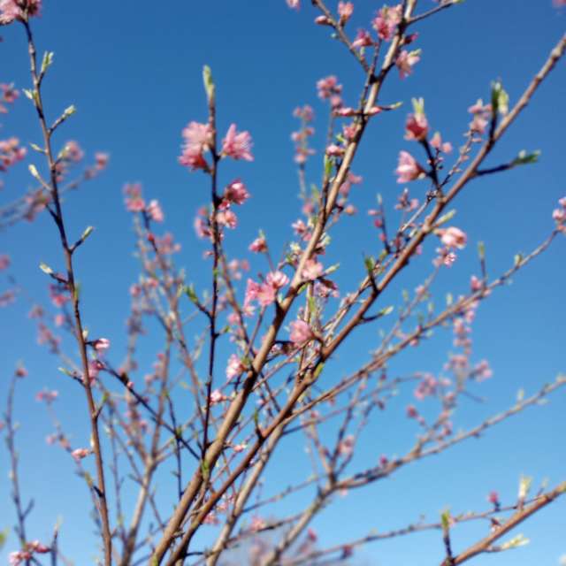 Weather forecasts with beautiful photos by jeannecozzarin