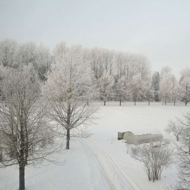 Pronósticos del tiempo con hermosas fotos de Sandra Bokisha