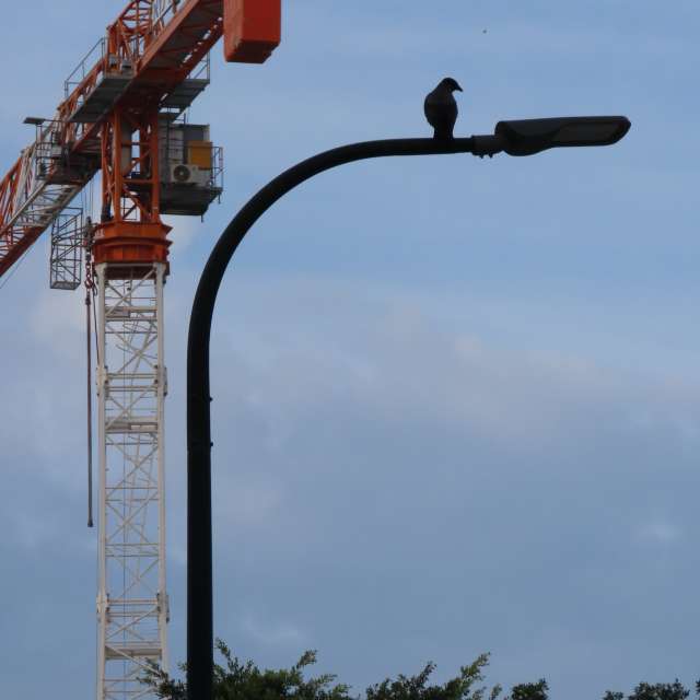 Day. Weather forecasts with beautiful photos by Sviatoslav Photos in World