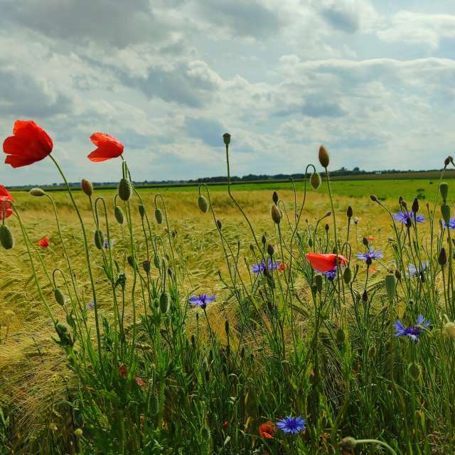 Weather Photos in World. Weather forecasts with beautiful photos by Romek58