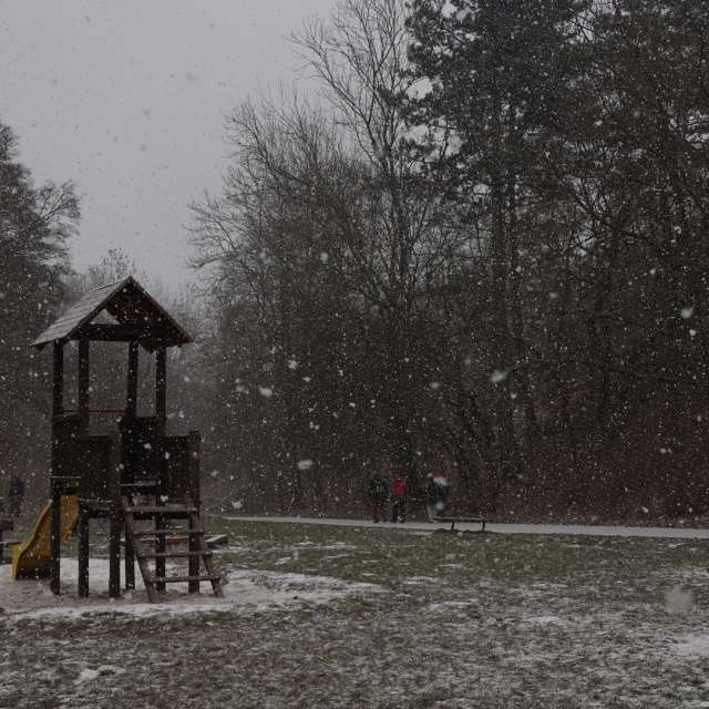 Fotos Floresta. Previsões do tempo com lindas fotos de Vasek325 em Praha 5