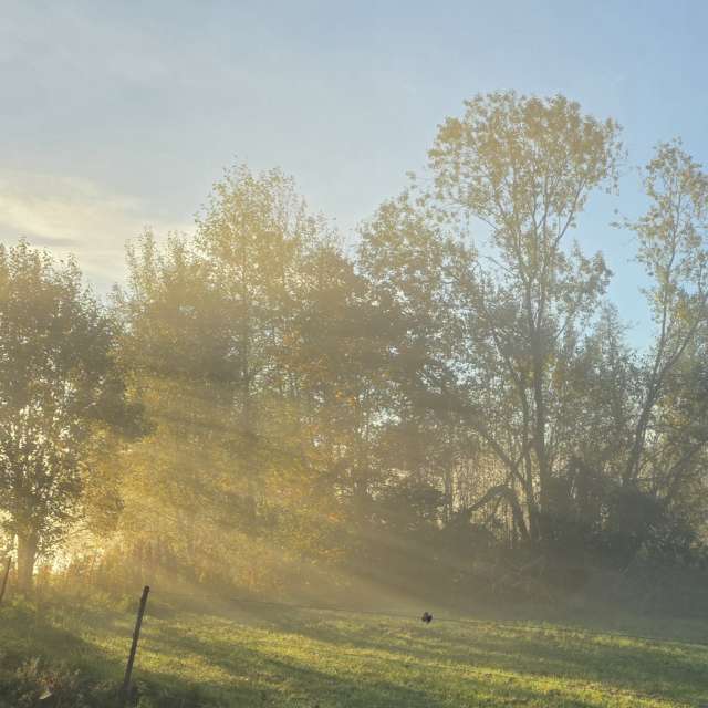 Weather forecasts with beautiful photos by Pietro Cici