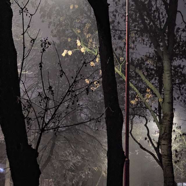 Photos Banc. Prévisions météo avec de superbes photos de Miloš_SK de Sereď