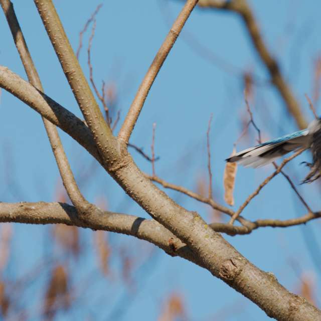 Dự báo thời tiết với những bức ảnh đẹp của krantzjh