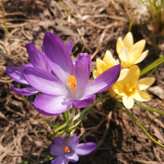 天气预报，带vilinsckayaolga精美的照片