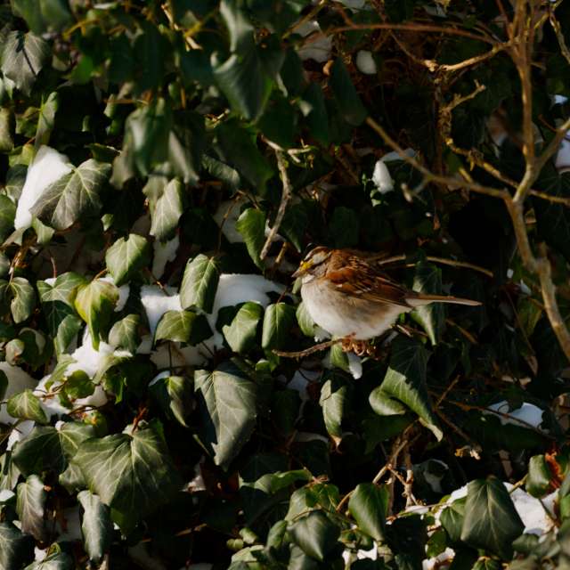 Previsões do tempo com lindas fotos de krantzjh
