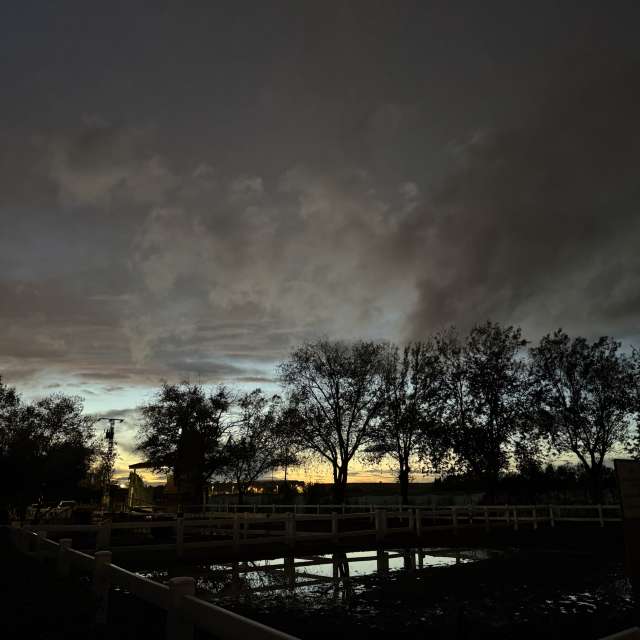 天气预报，带Knopfler83精美的照片