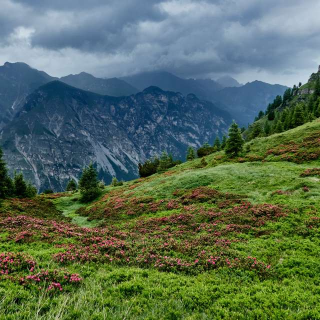 Weather forecasts with beautiful photos by jpfoto
