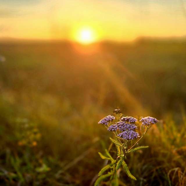 Wettervorhersagen mit schönen Fotos von Hela