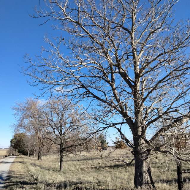 Weather forecasts with beautiful photos by Kate72