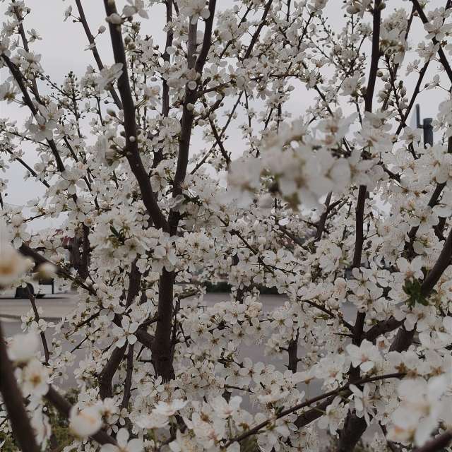Photos Champ. Prévisions météo avec de superbes photos de Miloš_SK de Sereď