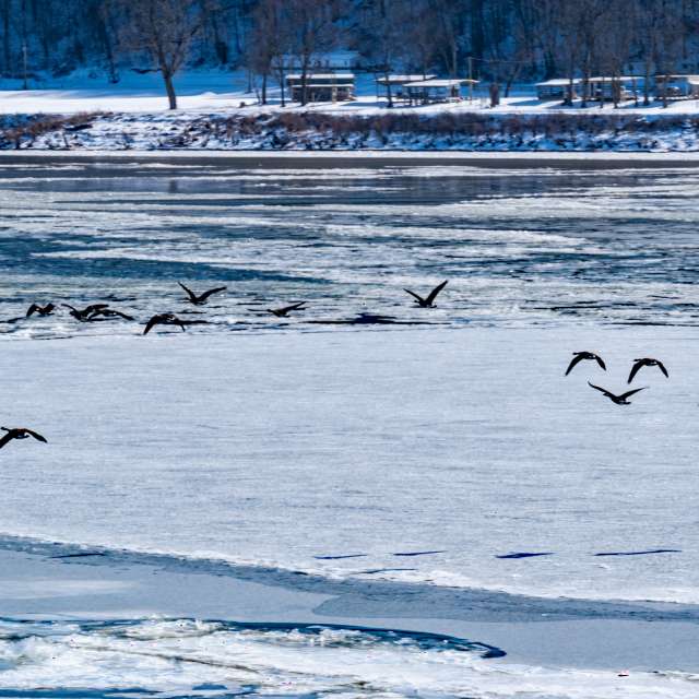 Previsões do tempo com lindas fotos de krantzjh