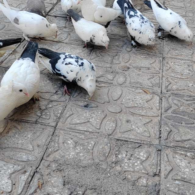 Rlz29671の美しい写真による天気予報