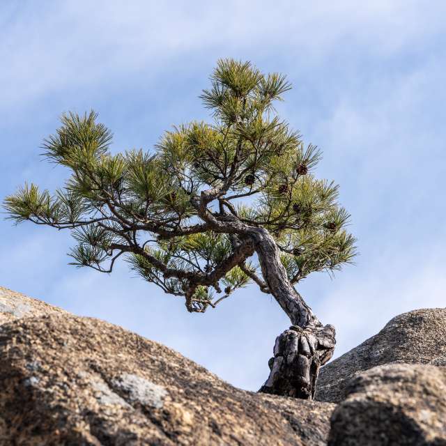 Weather forecasts with beautiful photos by yunyangsu