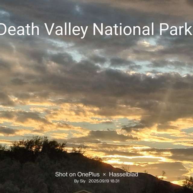 MsSlyの美しい写真による天気予報