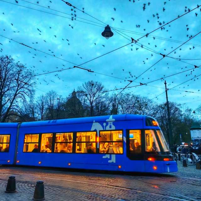 Fotos del De viaje. Pronósticos del tiempo con hermosas fotos de gimiqui en Cracovia