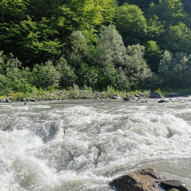 Gruppe. Wettervorhersagen mit schönen Fotos von Albert_Smelovtsev Fotos Roza Khutor