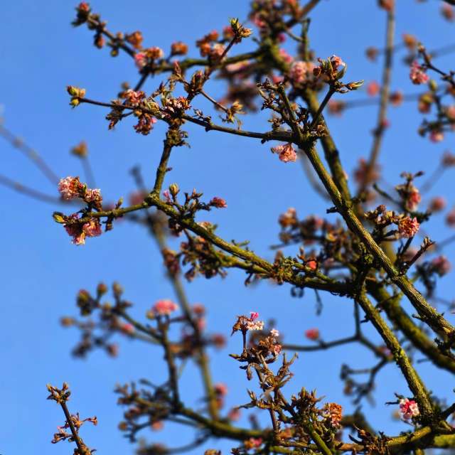Resting. Weather forecasts with beautiful photos by Seni Photos in Velbert