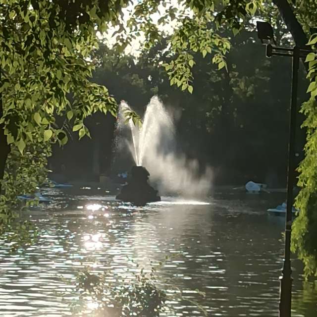 Fotos del Oveja. Pronósticos del tiempo con hermosas fotos de YanBog en București