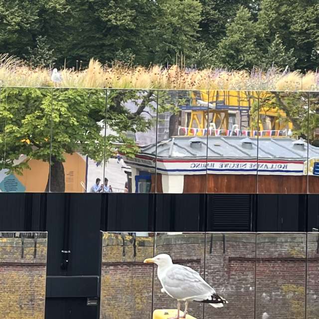 Weather forecasts with beautiful photos by Oksy