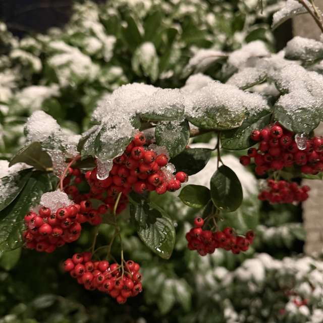 Weather forecasts with beautiful photos by Oksy