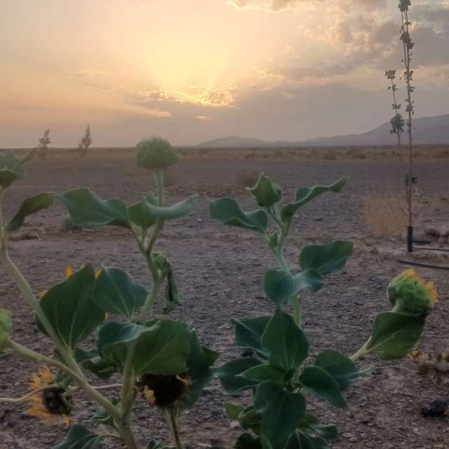Prévisions météo avec de superbes photos de BELGHOUL-KADDA