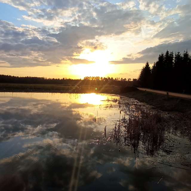 Overlooking. Weather forecasts with beautiful photos by Valiukas Photos in Lithuania