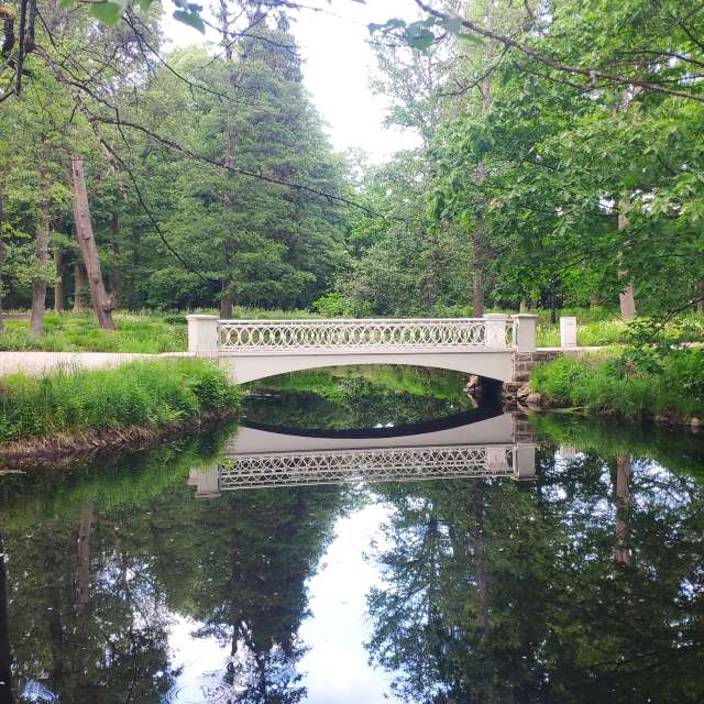 天气预报，带newgen精美的照片